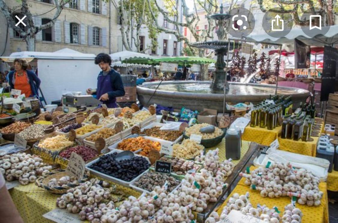 Gite Les Oliviers 10 Pers Piscine Au Calme 4 Etoiles Saint-Laurent-la-Vernède المظهر الخارجي الصورة