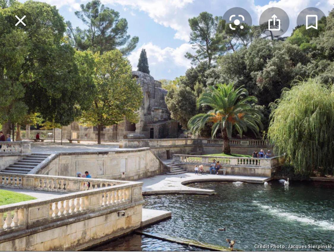 Gite Les Oliviers 10 Pers Piscine Au Calme 4 Etoiles Saint-Laurent-la-Vernède المظهر الخارجي الصورة