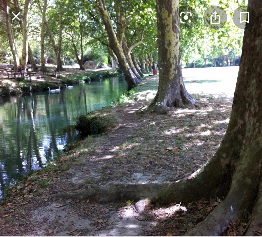 Gite Les Oliviers 10 Pers Piscine Au Calme 4 Etoiles Saint-Laurent-la-Vernède المظهر الخارجي الصورة